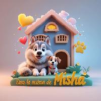 Logo association DANS LA MAISON DE MISHA