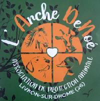 Logo association Arche Denoé