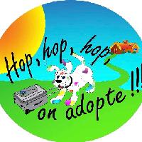 Logo association Hop Hop Hop, on Adopte
