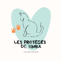 Logo association LES PROTEGES DE SIMBA