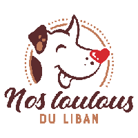 Logo association Nos Loulous du Liban