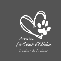 Logo association Le Cœur d’Elisha