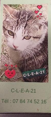 Logo association CHATS-LIBRES-EVE-ASSOCIATION-2021