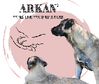 Logo association Arkan