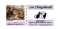 Logo association Les Chatgabonds