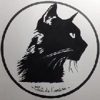 Logo association Chats de l'ombre