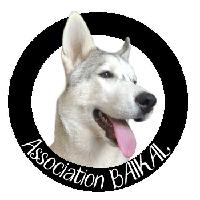 Logo association Association BAÏKAL