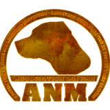 Logo association Aidons Nos Molosses - ANM