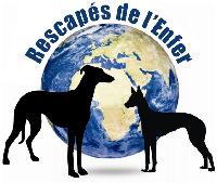 Logo association Rescapés de l'Enfer