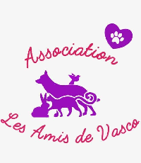 Logo association Les Amis de Vasco