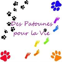 Logo association Des Patounes pour la Vie