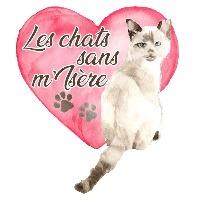 Logo association Les chats sans m'Isère