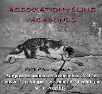 Logo association Félins Vagabonds