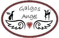 Logo association Galgos Angel