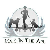 Logo association Cats in the Air