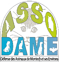 Logo association Défense des Animaux de Montech et ses Environs - DAME