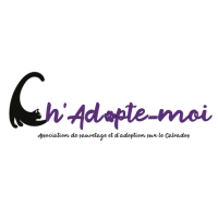 Logo association Ch'Adopte-moi