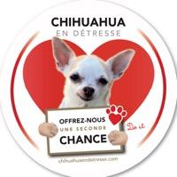 Logo association Chihuahua en Détresse