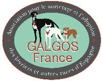 Logo association Galgos France