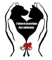 Logo association U Felinu