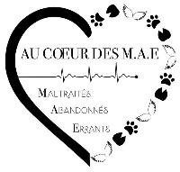 Logo association Au Coeur des M.A.E